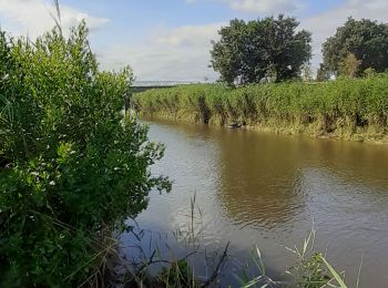 Trail Walking Le Teich - 18 juillet vers Fleury - Photo