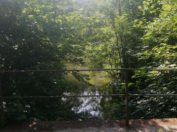 Tocht Stappen Yvoir - Le long du Bocq Yvoir - Photo