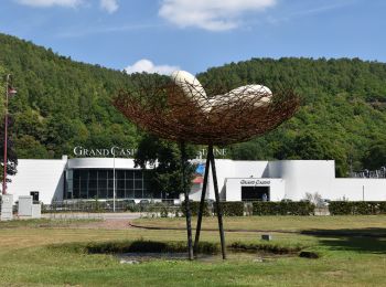 Excursión Senderismo Chaudfontaine - 20220724 - TOTEMUS Chaudfontaine - 5.7 Km - Photo