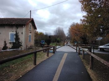 Tour Wandern Loriol-du-Comtat - Loriol du Comtat  84  - Photo