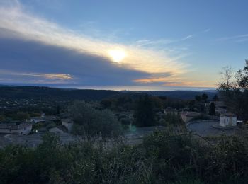 Tocht Stappen Tourrettes-sur-Loup - Tourettes-sur loup Pic Courmettes Puys Tourettes et Naouri Trace réélle - Photo