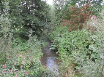 Tocht Te voet Zierenberg - Zierenberg, Z2 - Mühlenweg - Photo