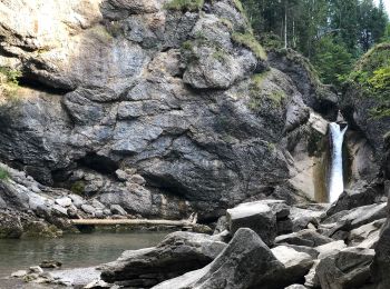 Tour Zu Fuß Oberstaufen - Premiumwanderweg Wildes Wasser - Photo