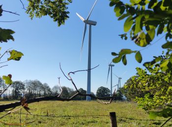 Tour Wandern Crennes-sur-Fraubée - Crennes sur Fraubée - Photo