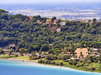 Tour Zu Fuß Castel Gandolfo - Periplo Lago Albano - Photo