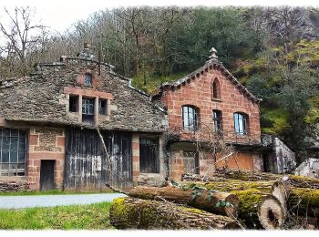 Trail On foot Conques-en-Rouergue - Le Chemin de l'Oiseau - Photo