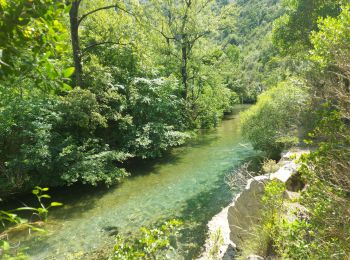 Percorso Marcia Saint-Maurice-Navacelles - cirque de nacelles moulin de la Foux - Photo