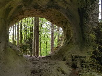 Excursión A pie Betzenstein - Betzenstein Rundwanderweg Grosser Wasserstein - Photo