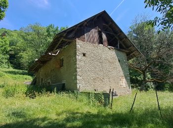 Tocht Stappen Challes-les-Eaux - bellevarde-19-06-23 - Photo