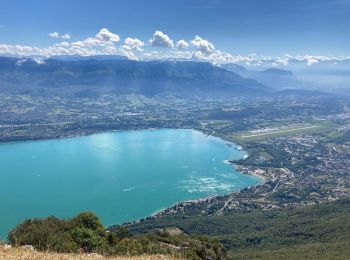 Tocht Stappen La Chapelle-du-Mont-du-Chat - Dent du chat - Photo