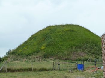 Percorso A piedi Tongeren - Evermaruspad - Photo