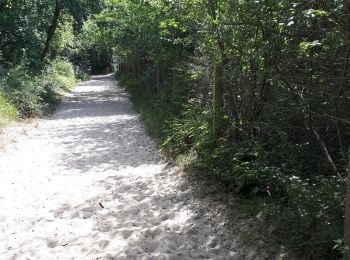 Randonnée Marche Saint-Quentin-en-Tourmont - chemin du littoral  - Photo