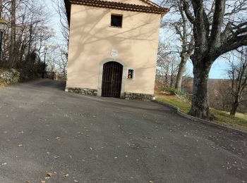 Tocht Stappen Bézaudun-les-Alpes - Bezaudun Anou 1 - Photo