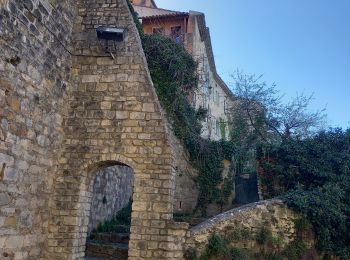 Tour Wandern Vaison-la-Romaine - Vaison la Romaine / Crestet - Photo