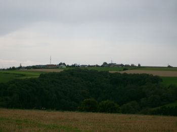 Tocht Te voet Tandel - Autopedestre Brandenbourg - Photo