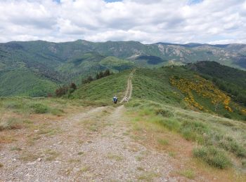 Tocht Stappen Alzon - vers le St guiral puis le rocher de l'aigle - Photo