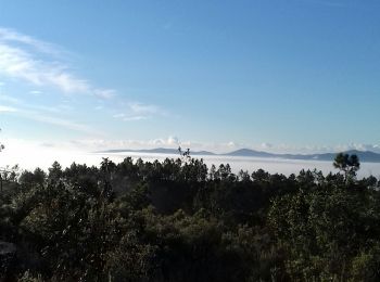 Trail Walking Puget-sur-Argens - La Lieutenante Anc. Meulière Sce St Martin - Photo