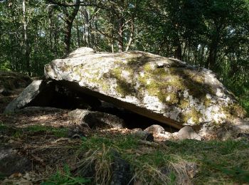 Randonnée A pied Le Vernet-Sainte-Marguerite - Le Puy d'Alou - Photo