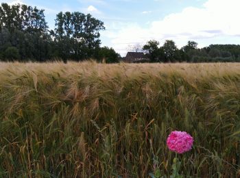 Tocht Stappen Zwalm - Ommetje Ter Biestmolen - Photo