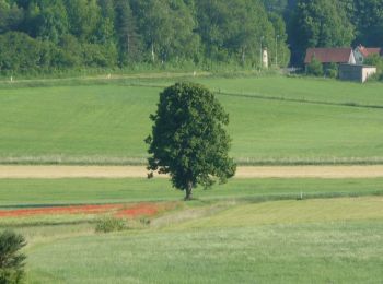 Trail On foot Königsfeld - Kapellenweg Königsfeld - Gelbe Route - Photo