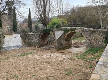 Percorso Marcia Flassans-sur-Issole - Flassans sur issole - lac de redon - Photo