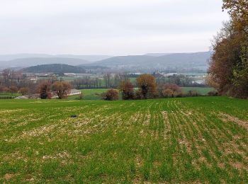 Percorso Marcia La Bâtie-Rolland - La Batie-Rolland  Les Trois Panorama7km - Photo