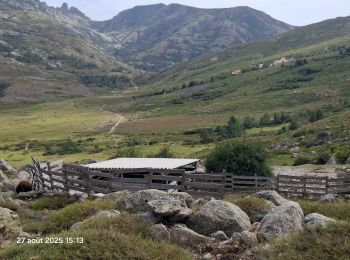 Tour Wandern Albertacce - hôtel de virgo. refuge de manganu - Photo