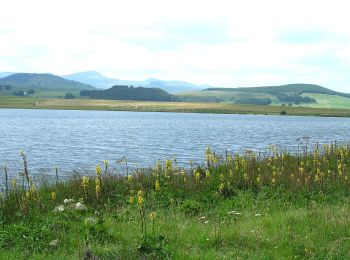 Trail On foot Besse-et-Saint-Anastaise - Le Lac de Bourdouze - Photo