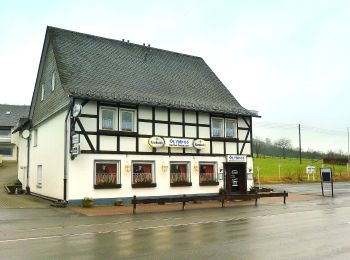 Percorso A piedi Eslohe - Esloher Rundweg - Photo