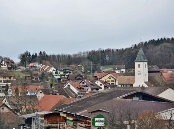 Tour Zu Fuß Stein - Schupfart - Stein - Photo