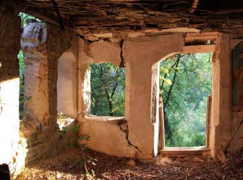 Percorso A piedi Băile Olănești - Valea Cheii - Schitul Iezer - Valea Cheia - Cabana Codric - Cabana Cheia - Photo