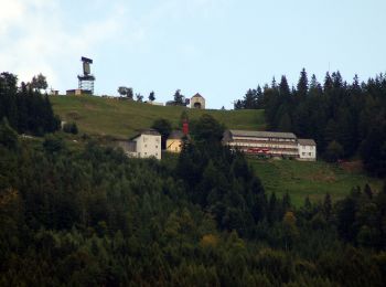 Tocht Te voet Anger - Grubbründlweg - Photo