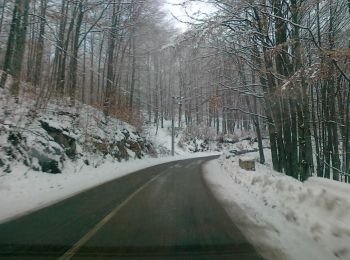 Tour Zu Fuß Nucet - Șaua Vârtop - Groapa Ruginoasa - Pietrele Negre - Photo