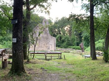 Percorso Marcia Le Vaudoué - Le Vaudoué entre champs et forêt - Photo