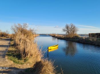 Trail Walking Mauguio - les_cabanettes_Mauguio - Photo