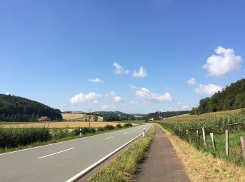 Tocht Te voet Bad Arolsen - Bad Arolsen Wanderweg RUM - Photo