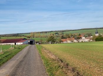 Randonnée Marche Coussey - de Coussey à Vouthon  - Photo