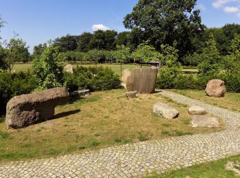 Percorso A piedi  - Blå Kløversti, Vejen - Photo