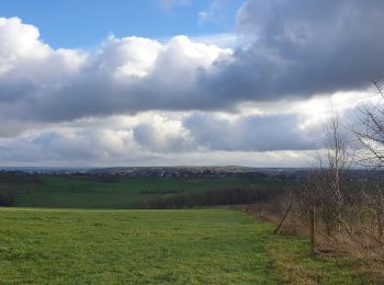 Randonnée Marche Trooz - Trooz bois de la casserole - Photo