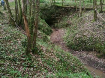 Trail Walking Sauveterre-de-Guyenne - sauveterre de g - Photo