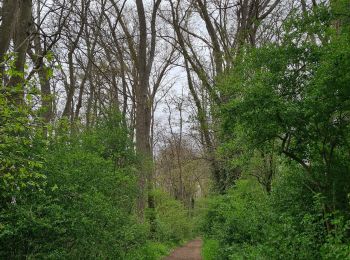 Tocht Stappen Remaucourt - Le tilloy - les sources de la somme - Photo