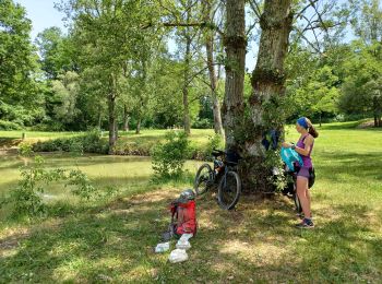 Percorso Mountainbike Montréal - Montréal du gers, eauze,aire sur adour, - Photo