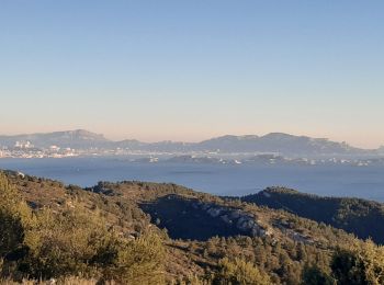 Tour Wandern Ensuès-la-Redonne - Vallon du Perussier Vigie Côte Bleue  - Photo