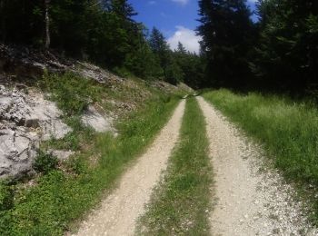 Trail Mountain bike Autrans-Méaudre en Vercors - autrans 10 2 - Photo