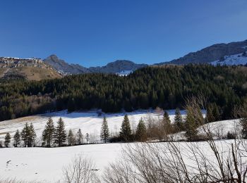 Excursión Senderismo Villard-de-Lans - cabane de robon - Photo