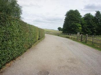 Trail On foot Welwyn Hatfield - WGC100 Centenary Walk - Photo