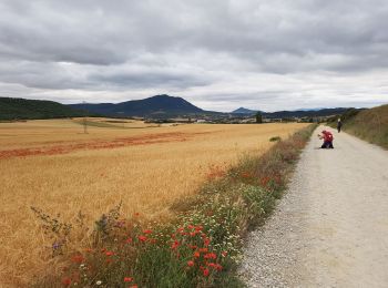 Tour Wandern Puente la Reina/Gares - Puente la Reina / Estella - Photo