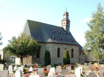 Percorso A piedi Lorch - Ranseler Höhenrausch - Photo