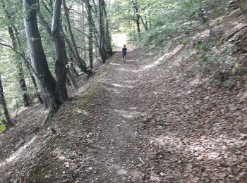 Randonnée Marche Érezée - Papillon de Fanzel-12 - Photo