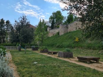 Randonnée Marche Puylaurens - Le grand 8 de Montaut - Photo